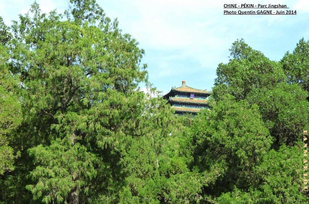 Pekin Jingshan 11.JPG